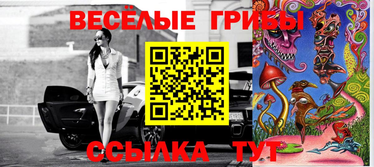 Псилоцибиновые грибы мухоморы  Псилоцибиновые грибы Psilocybine cubensis  Вход с VPN  Заинск 