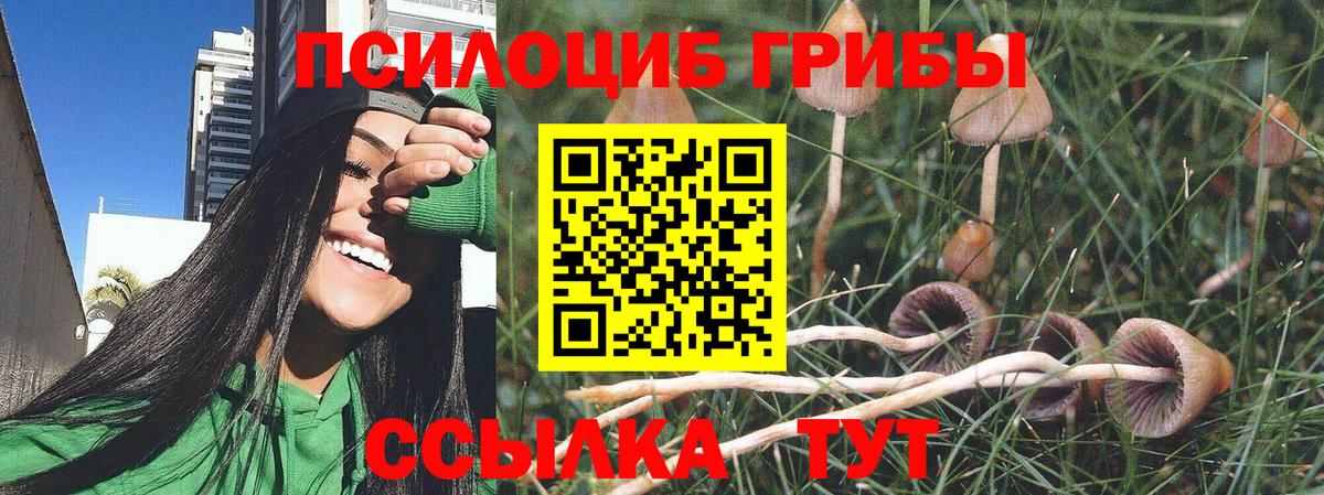 Галлюциногенные грибы прущие грибы Заинск